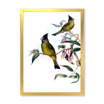 Designart 'Vintage Countryside Birds On Branch II' Farmhouse Framed Art Print