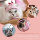 thumbnail image 5 of Juguetes para gatos Yashi Juguetes interactivos para gatos Tocados para pesca de gatitos rosa, 5 of 5