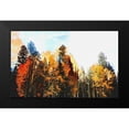 thumbnail image 2 of Tenoever, William 14x10 Black Modern Framed Museum Art Print Titled - Fall Colors I-Color Blast, 2 of 5