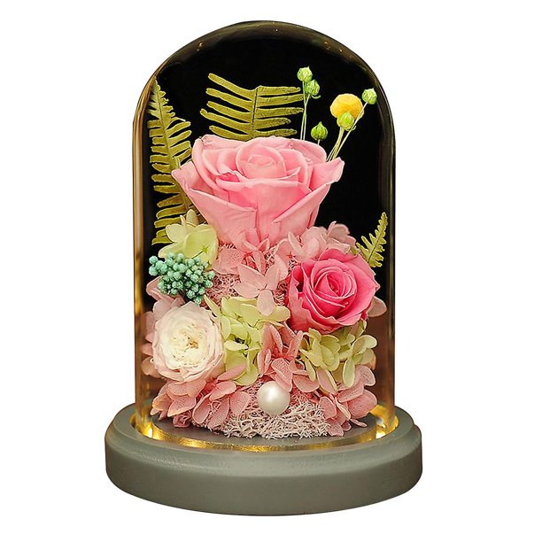 Decoración de flores eternas con cubierta de cristal rosa con luz, regalos de cumpleaños, regalos festivos para familiares y amigos