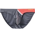 thumbnail image 2 of TANBOM Men's Bulge Enhancing Triangle Thong Nylon Underwear Gray L 1-Pack, 2 of 6