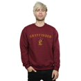 thumbnail image 2 of Harry Potter Mens Gryffindor Crest Sweatshirt, 2 of 3