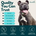 thumbnail image 2 of Pawious Flea and Tick Supplement for Dogs Chewables - Natural Support for Dogs Skin & Coat - 9 Oz, 120 Ct., 2 of 8
