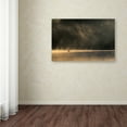 thumbnail image 2 of Izabela Laszewska Mitrega 'Lost In Space' Canvas Art, 2 of 3