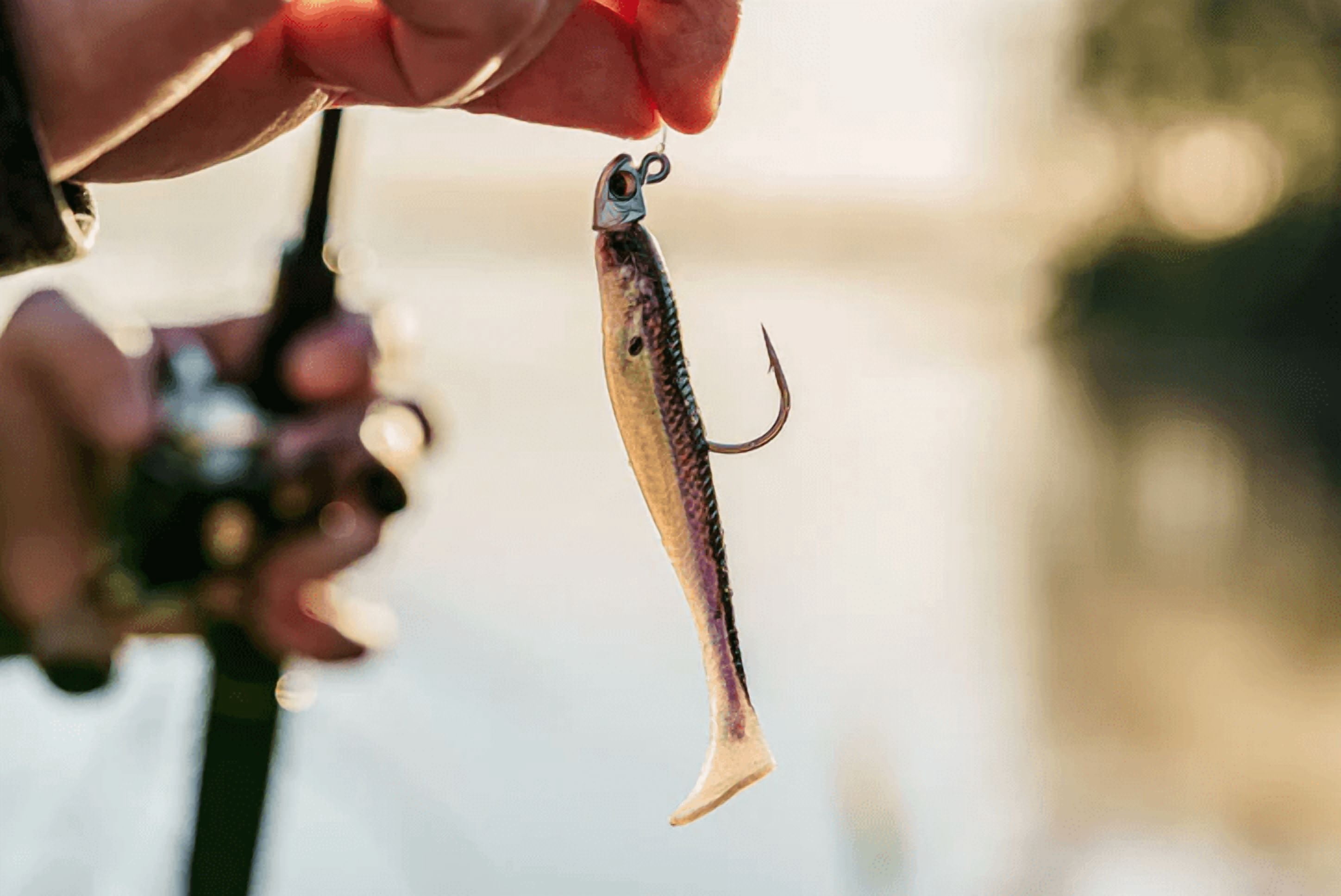 (2 pack) 6th Sense – Divine Swimbait Series – Soft Paddle Tail Swimbait – Bass Fishing – Multiple Sizes