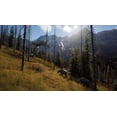 thumbnail image 5 of Way of The Hunter for Xbox Series X [VIDEOGAMES] Xbox Series X, 5 of 7