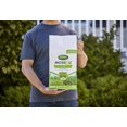 Scotts MossEx Kills Moss but Not Lawns, Contains Nutrients to Green