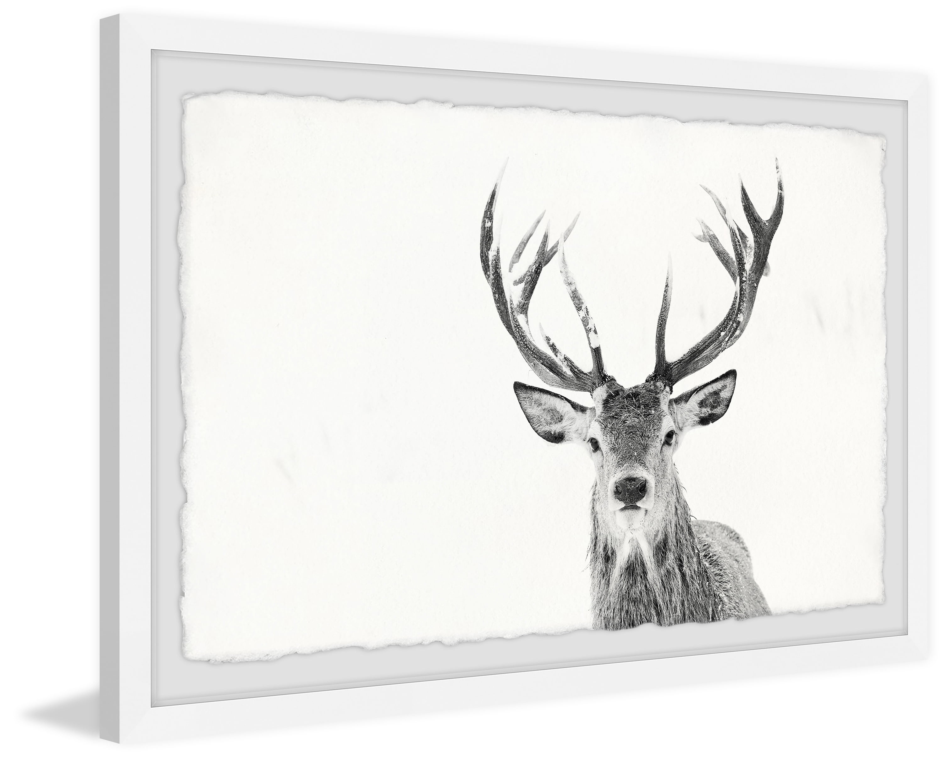 Marmont Hill Majestic Antlers Framed Wall Art, 24" x 36"