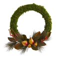 thumbnail image 1 of Nearly Natural W1038 22 in. Pear, Magnolia & Moss Artificial Wreath, 1 of 1