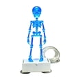 thumbnail image 2 of Dalxymotic Halloween Dancing Skeleton Aquarium Ornament, Air Pump Activated Plastic Bubbler Figurine, Haunting Tank Decoration, Underwater Humorous Display for Tank, Shelf, Desk, Counter, 2 of 7