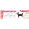 thumbnail image 4 of HQREA 2 Pieces Dog Dress for Small Dogs Girl Sleeveless Vest Skirt Cute Bow Cake Dress Pet Shirt Outfits for Puppy Cats, 4 of 5