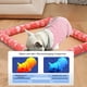 thumbnail image 4 of Pisexur Suministros para mascotas Summer Pet Cooler Floor Cushion Dog Kennel Cats Kennel Ice Cushion Pet Supplies Small Mattress Pet Ice Cushion perros, gatos y animales.perros, gatos y animales, 4 of 6