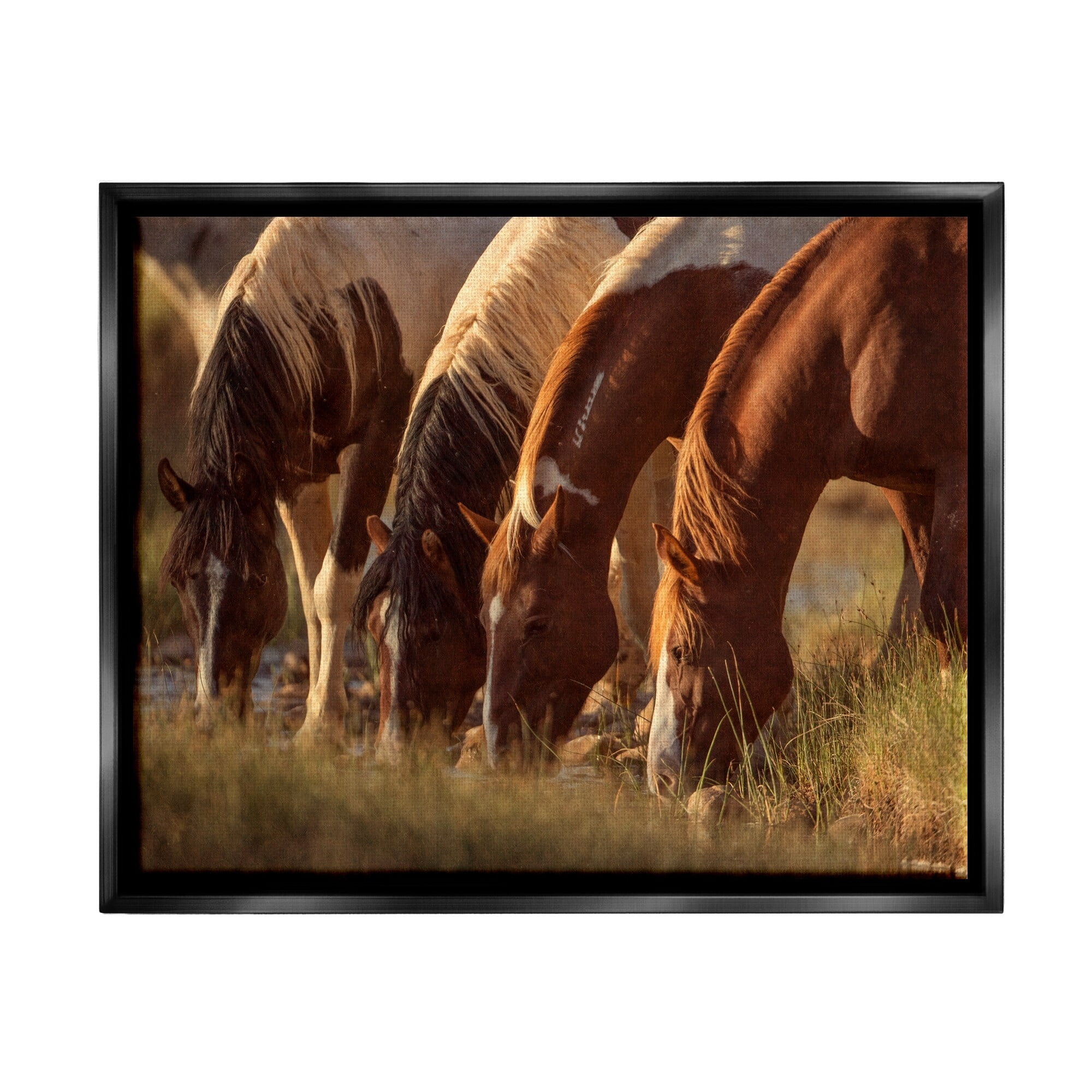 Stupell Industries Sunlit Horses Drinking Water Wildlife Nature Scene Photograph Jet Black Floating Framed Canvas Print Wall Art, Design by Jan Walters