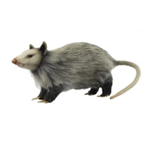 Hansa Opossum 12" (8041)