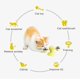 thumbnail image 2 of Shxx Interactive Windmill Cat Toys With Catnip : Cat Toys For Indoor Cats Funny Kitten Toys With Led Light Ball Suction Cupcat Nip Toy For Cat Chew,ye, 2 of 5