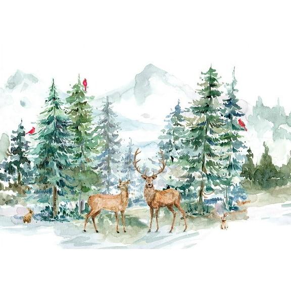 Winter Wonderland Deluxe Boxed Holiday Cards (20 Cards, 21 Self-Sealing Envelopes), (Hardcover)
