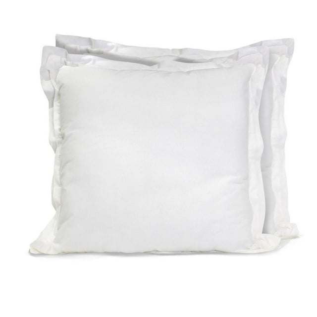Hometrends 2 PK Euro Pillow