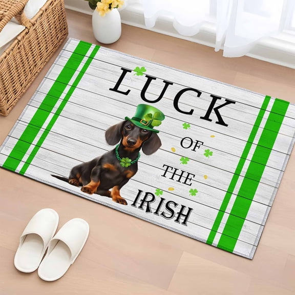 Entryway Rug 2'x3', St. Patrick's Day Small Rug for Kitchen Bathroom Door Mat Indoor Entrance, Spring Lucky Hats Dogs Grass Strip Wood Non-Slip Area Rugs Floor Mats Carpet Front Door Rugs