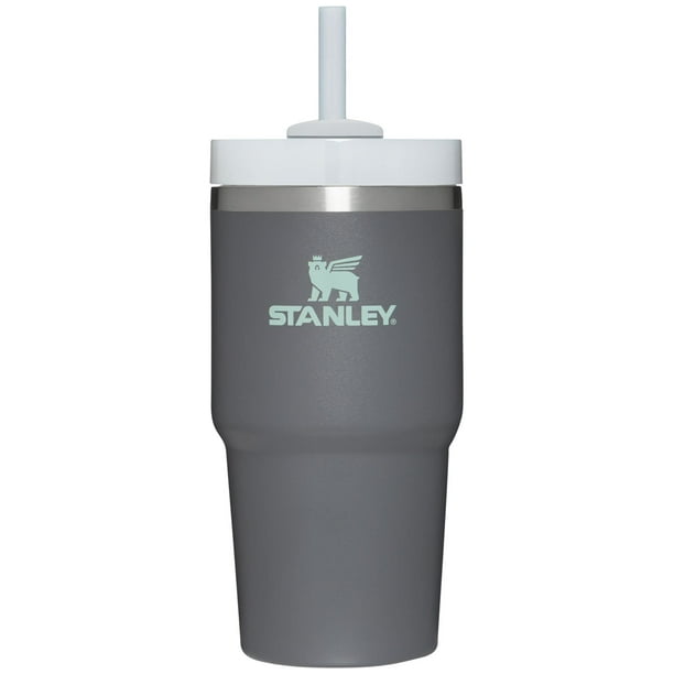 Stanley Quencher H2.0 FlowState Stainless Steel Vacuum Insulated Tumbler  with Lid and Straw for Water, Iced Tea or Coffee, Smoothie and More, Fog,  40