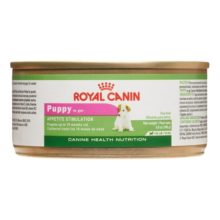 Royal Canin Canine Health Nutrition Puppy in Gel Small Breed Puppy Wet Dog Food, 5.8 oz, Case of (Best Wet Puppy Food For Small Breed)