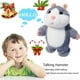 thumbnail image 2 of Juguete de peluche de hámster parlante, repite lo que dices, divertidos juguetes de peluche para niños, juguetes interactivos de felpa con registro parlante para cumpleaños, 2 of 5