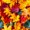 Rainbow, variant on Erosebridal Maple Leaves Full Size Comforter Sets 3-Piece,Fall Foliage Bedding Comforter Set,Rainbow,Reversible,1 Comforter and 2 Pillowcases