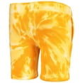 thumbnail image 3 of Preschool White/Gold Los Angeles Lakers Santa Monica Shorts, 3 of 3