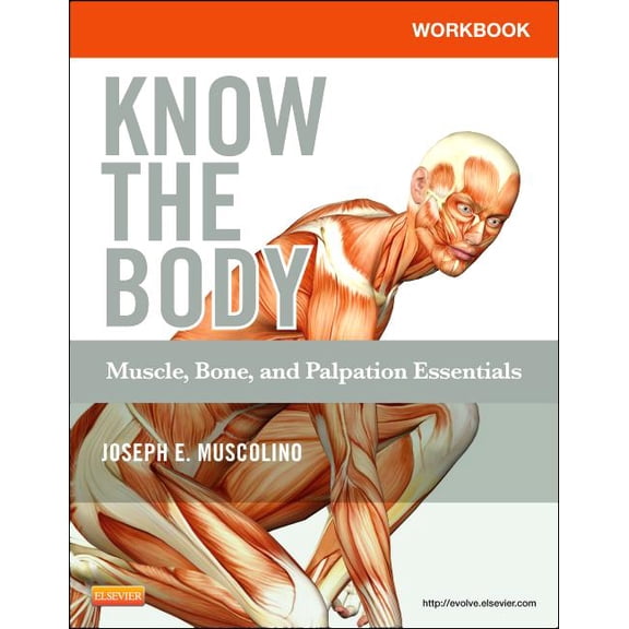 Workbook for Know the Body: Muscle, Bone, and Palpation Essentials, (Paperback)