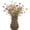 Brown, variant on Rattan Weaving Vase, TGY 5.7 Inch Decorative Flower Basket, Hand Woven Plastic Rustic Vase for Boho Home Decor, Farmhouse Desktop Centerpiece for Dried Grass & Floral Arrangement