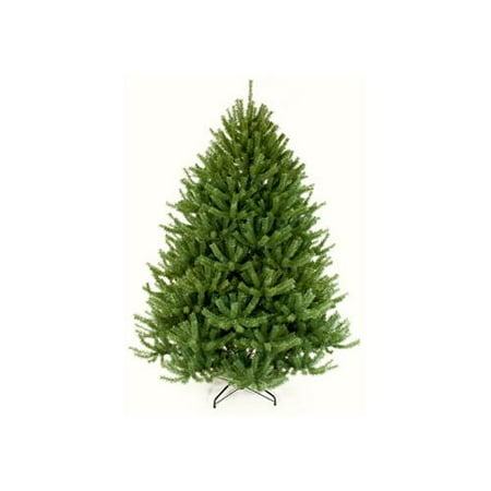 7' Everett Mountain Fir Artificial Christmas Tree - Unlit *Made In America*