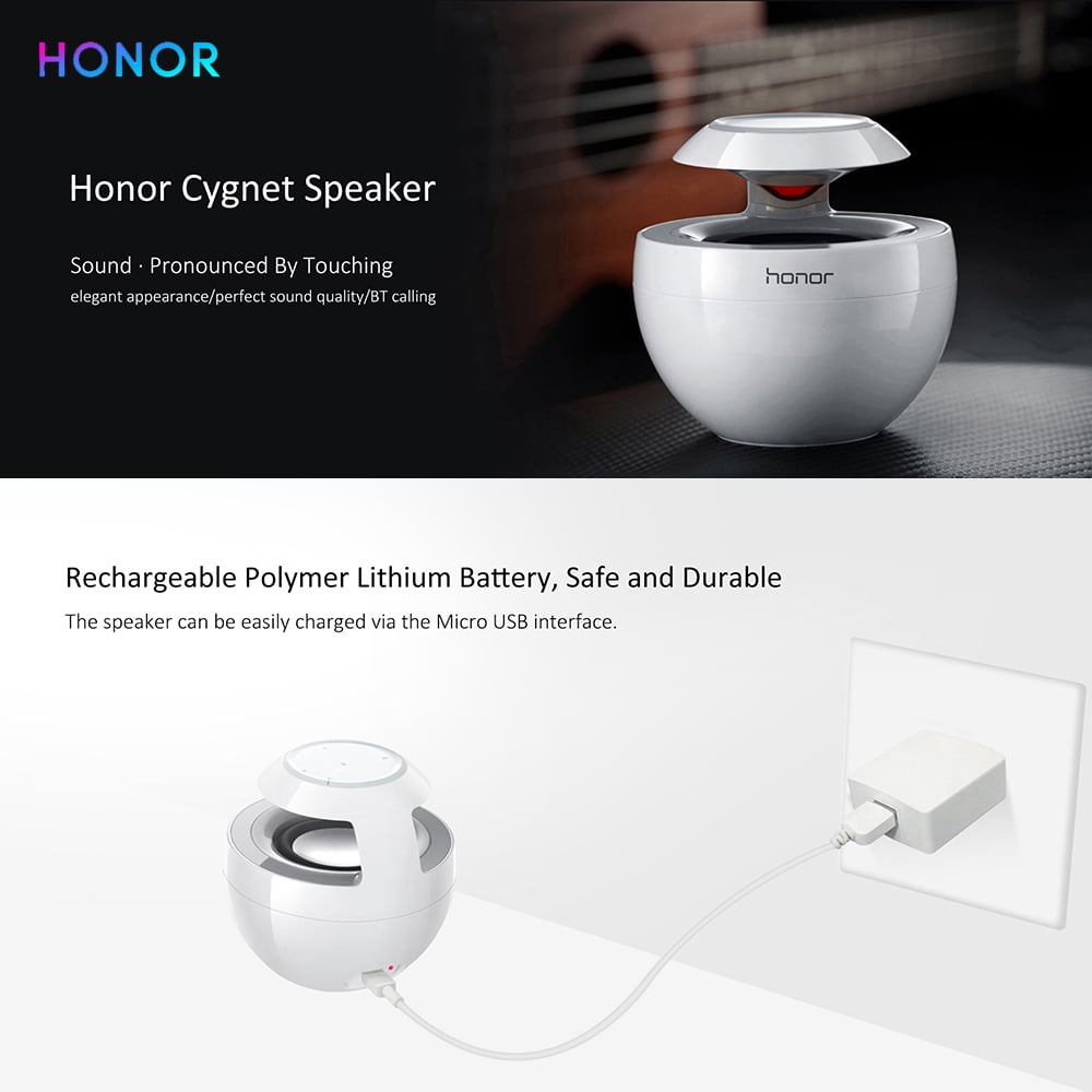 honor swan speaker