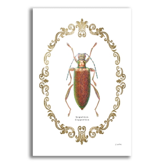 Epic Art 'Adorning Coleoptera VI' by James Wiens, Acrylic Glass Wall Art, 12"x16"
