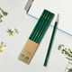 thumbnail image 4 of Lápices de madera fina, lápiz de punta verde 2B, lápiz especial para niños, diseño ergonómico con núcleo de mina de alta tenacidad, textura fina, 10 unidades, 4 of 6