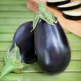 thumbnail image 4 of (2 pack) Bonnie Plants Black Beauty Type Eggplant 19.3 oz., 4 of 11