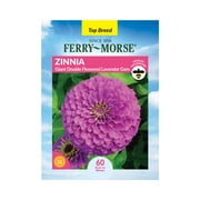 Ferry-Morse 450MG Zinnia Giant Double Flowered Lavender Gem Annual Flower Seeds Full Sun