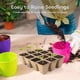 thumbnail image 5 of Kit de Inicio para Semillas GROWNEER con 432 Celdas Biodegradables, 5 of 6
