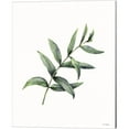 thumbnail image 4 of Great Art Now Eucalyptus by Seven Trees Design 3 Piece Canvas Art Set Each 12"W x 15"H, 4 of 4