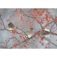 thumbnail image 2 of Li, Ben 24x18 White Modern Wood Framed Museum Art Print Titled - Snow-Bird And Tree, 2 of 4