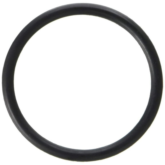 Pentair 35505-1424 O-Ring Adapter to Tank Replacement for Select Sta-Rite Pool and Spa Filters