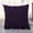 Purple_Base#16069, variant on Couch Pillow Covers 17x17 inches Summer Decorative Throw Pillow Case for Living Room Bedroom Outdoor Cushions