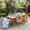 Bright Brown, variant on SUMMIT LIVING 7-Piece Acacia Wood Outdoor Patio Dining set with 6 Wooden Chairs (Weight Capacity 350 lbs) with Rattan Seat & Back and Acacia Wood Table
