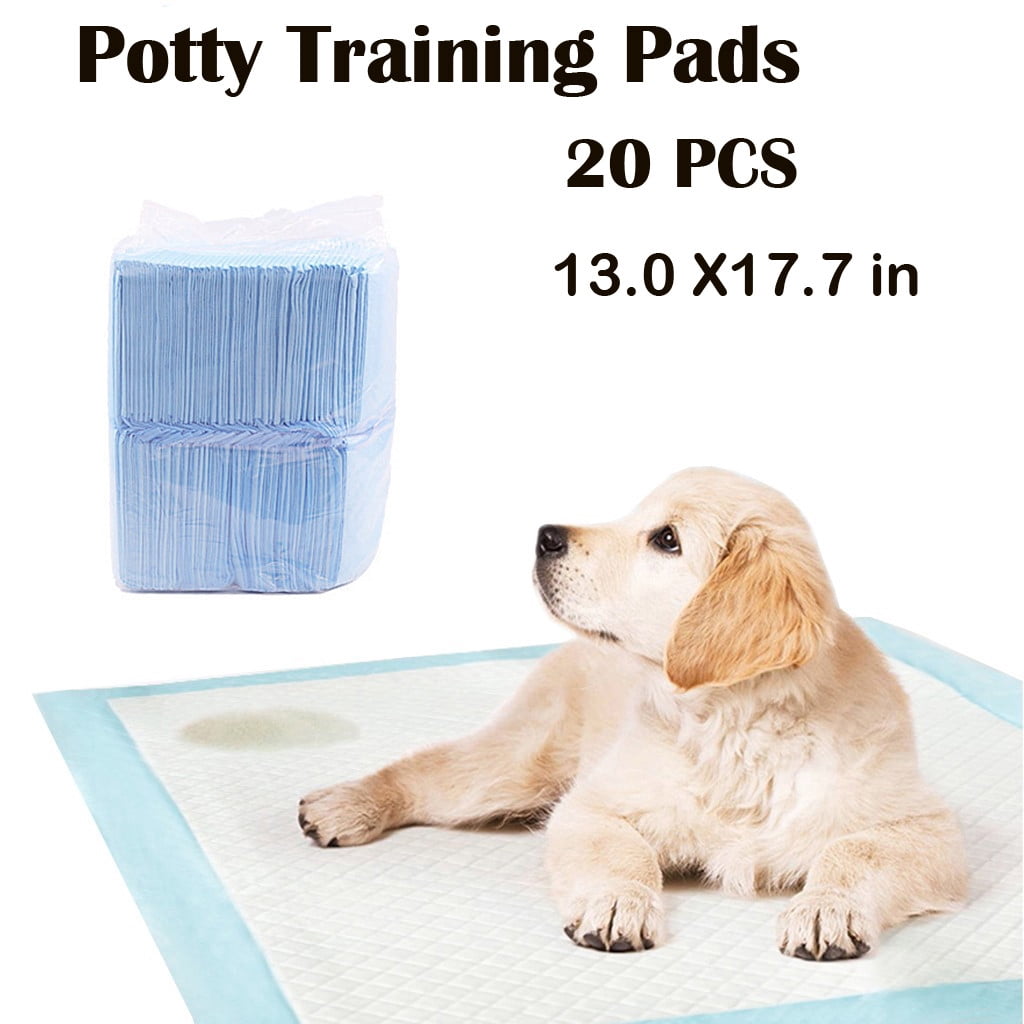 dog floor diaper