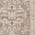 thumbnail image 2 of Avalon Persian Border Area Rug, Neutral - 2'6"x7'6", 2 of 6