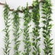 thumbnail image 4 of Enredaderas artificiales Ticfox hojas de parra 178 cm Verde, 4 of 11