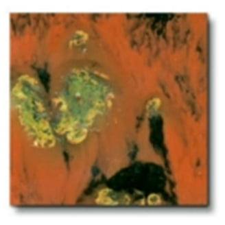 Sax True Flow Colorburst Glaze, Carnivale, 1 Pint - Walmart.com