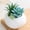 Succulent - Deep Blue, variant on 1PCS Mini Artificial Succulent Plants, Fake Succulent Arrangements in White Ceramic Pots, Faux Potted Greenery for Home, Office & Desk Decor