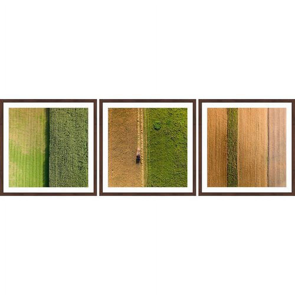 Crop Rows Triptych