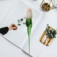 thumbnail image 7 of Ptetnvg Artificial Tulip Flower Real Touch Multicolor Velvet Texture Realistic Anti-fading Home Decoration Tulip Flower, 7 of 7