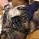 thumbnail image 5 of Guante de aseo para perros y gatos, cepillo de limpieza, cepillo de baño para mascotas, peine de masaje, removedor de pelo para pelo largo y corto, de goma - 1 par, 5 of 5