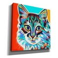 thumbnail image 2 of Epic Graffiti 'Dramatic Cats II' by Carolee Vitaletti Canvas Wall Art, 18"x18", 2 of 3